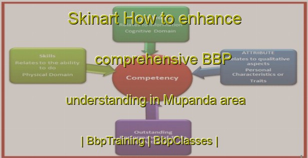 Skinart How to enhance comprehensive BBP understanding in Mupanda area | BbpTraining | BbpClasses | SkinartTraining-the Democratic Republic of the Congo